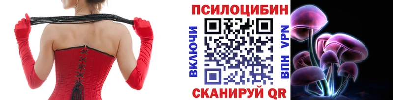Псилоцибиновые грибы Magic Shrooms  blacksprut ONION  Шуя 